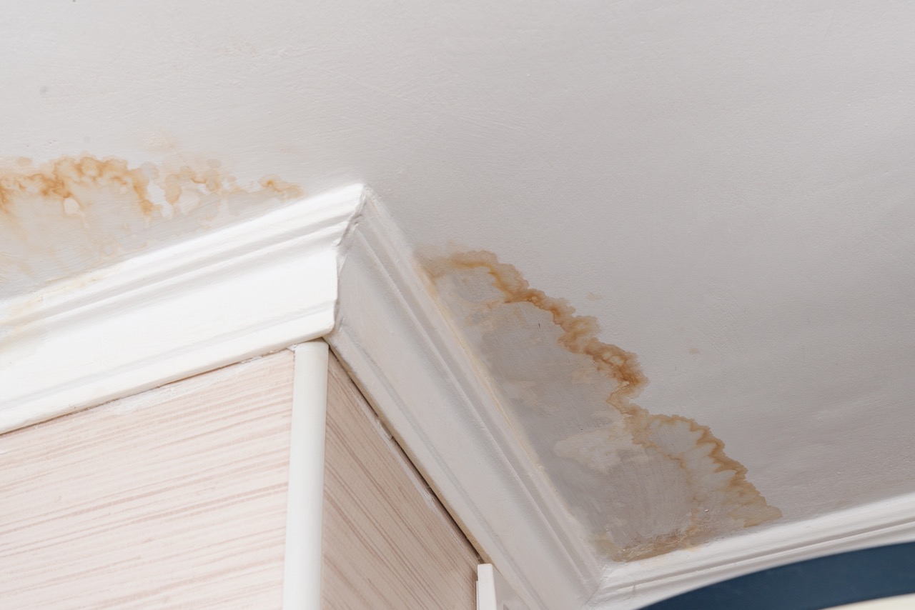 Water leak, water-damaged ceiling, close-up of a stain on the ceiling